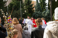 Niedziela Palmowa 2024
